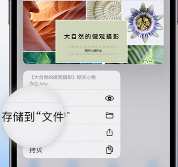 曹妃甸apple维修中心分享iPhone文件应用中存储和找到下载文件