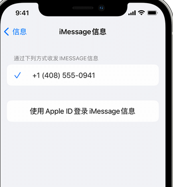 曹妃甸apple维修iPhone上无法正常发送iMessage信息 