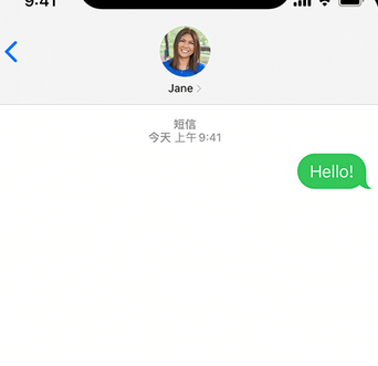 曹妃甸apple维修iPhone上无法正常发送iMessage信息