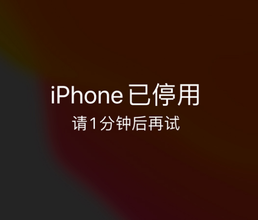 曹妃甸苹果手机维修分享:iPhone 显示“不可用”或“已停用”怎么办？还能保留数据吗？ 