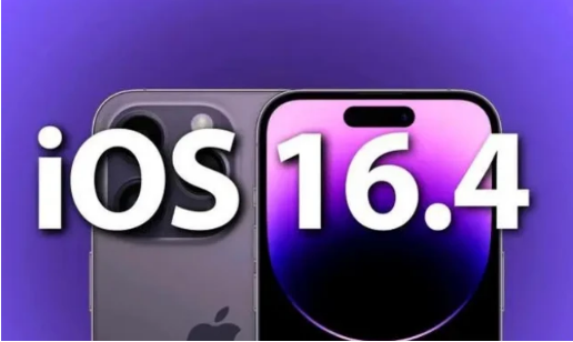 曹妃甸苹果14维修分享：iPhone14可以升级iOS16.4beta2吗？ 