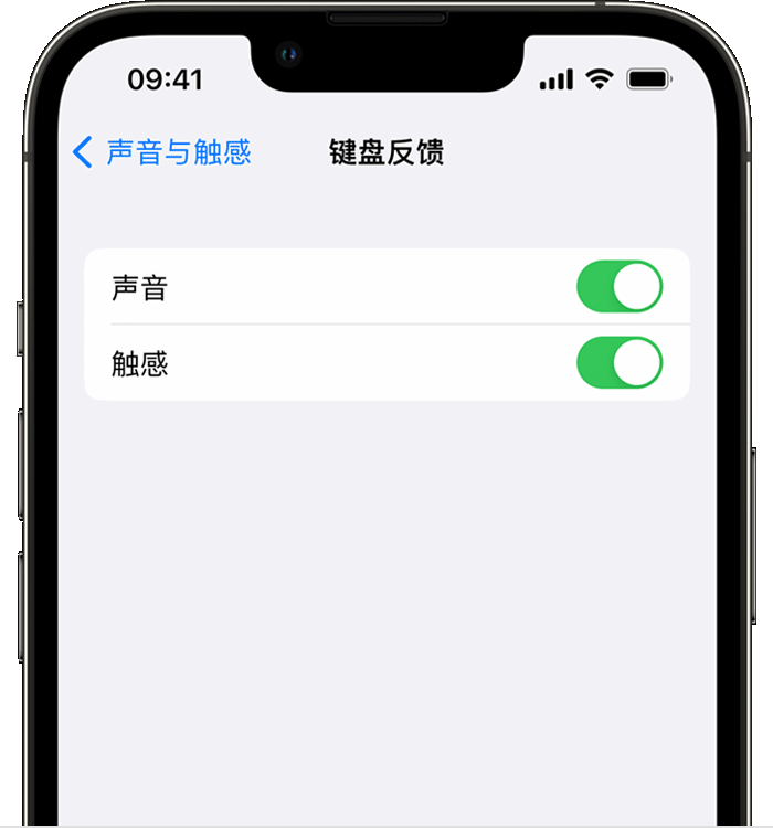 曹妃甸苹果14维修店分享如何在 iPhone 14 机型中使用触感键盘 