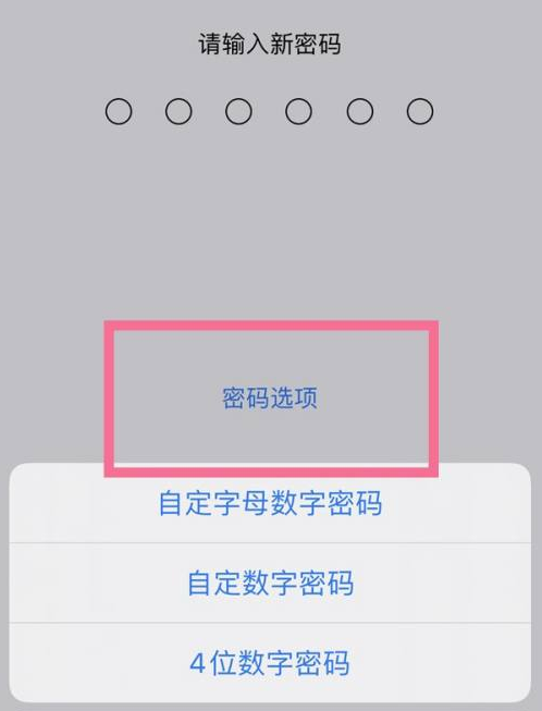 曹妃甸苹果14维修分享iPhone 14plus设置密码的方法 