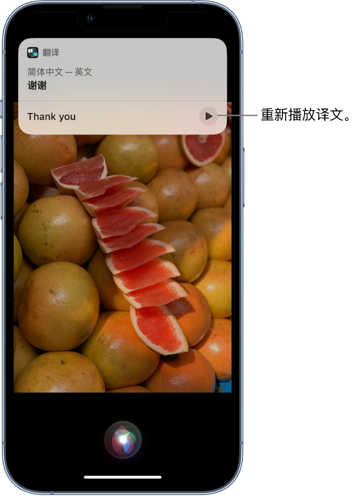 曹妃甸苹果14维修分享 iPhone 14 机型中使用 Siri：了解 Siri 能帮你做什么 