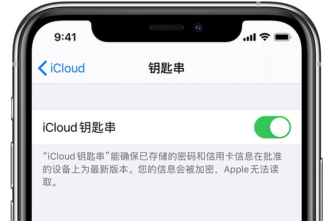 曹妃甸苹果手机维修分享在 iPhone 上开启 iCloud 钥匙串之后会储存哪些信息 