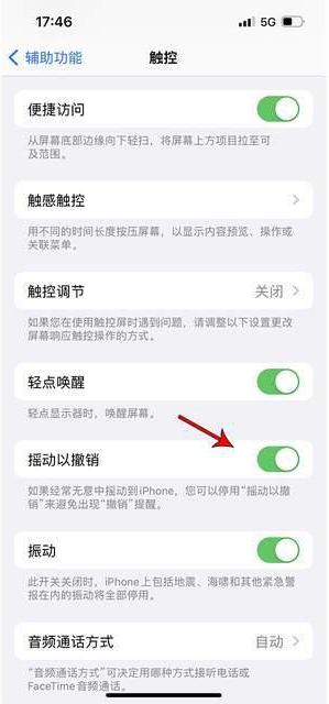 曹妃甸苹果手机维修分享iPhone手机如何设置摇一摇删除文字 